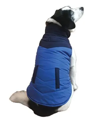 Color Block Reversible Puffer Jacket, Blue/Black