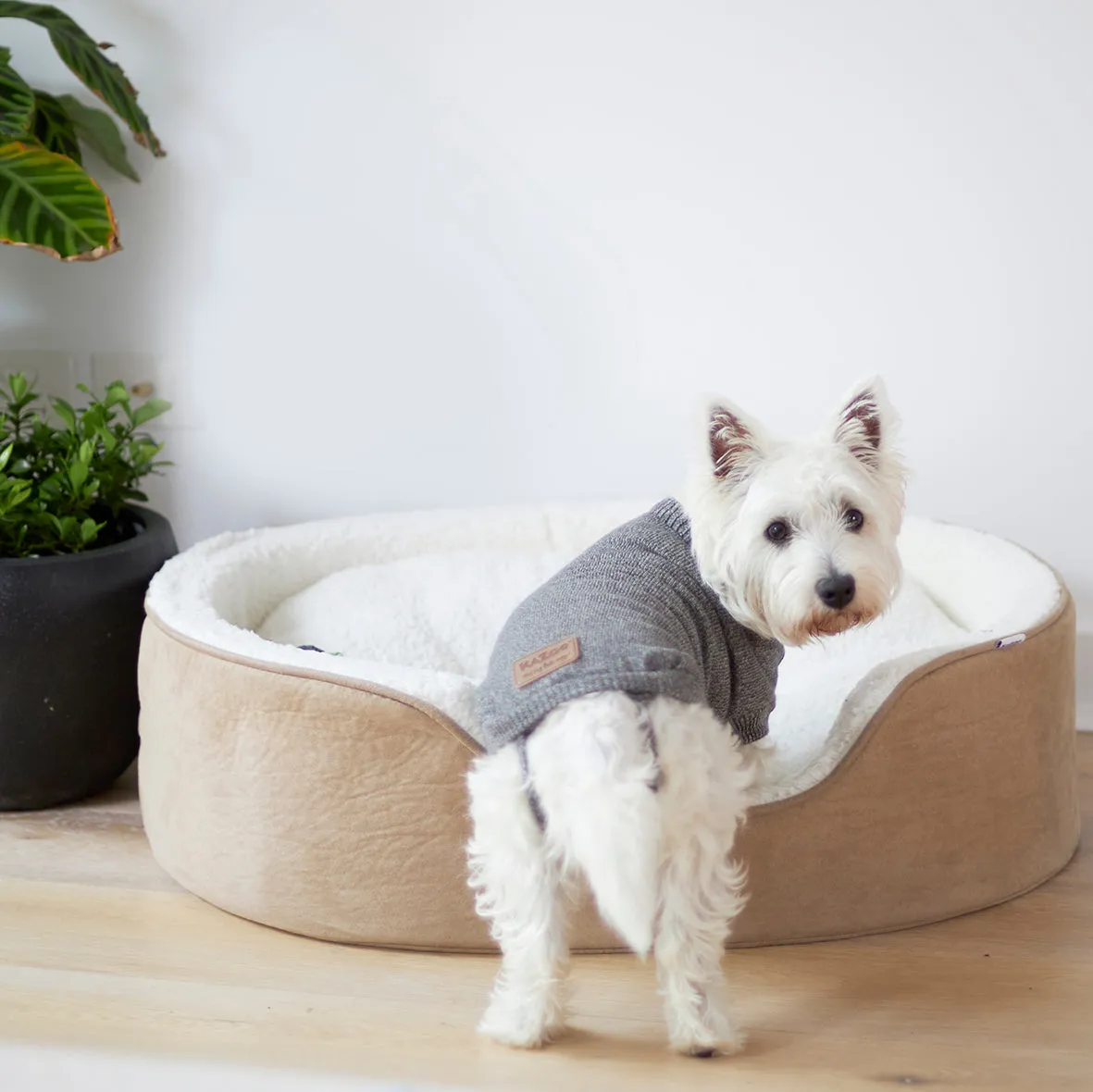 Soft Knit Dog Jumper - Mist